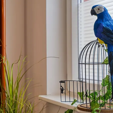 Apartmán Zuarin Schlossblick Mit Dschungel-Feeling - Direkt Am Schlossgarten Von Schwerin - Ganzes Apartment - Parkplatz Vorhanden *