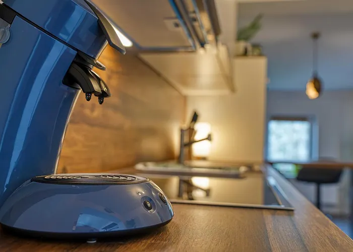 Apartment Zuarin Schlossblick - Ganzes Direkt Am Schlossgarten Von Mit Dschungel-feeling - Parkplatz Auf Anfrage Vorhanden *